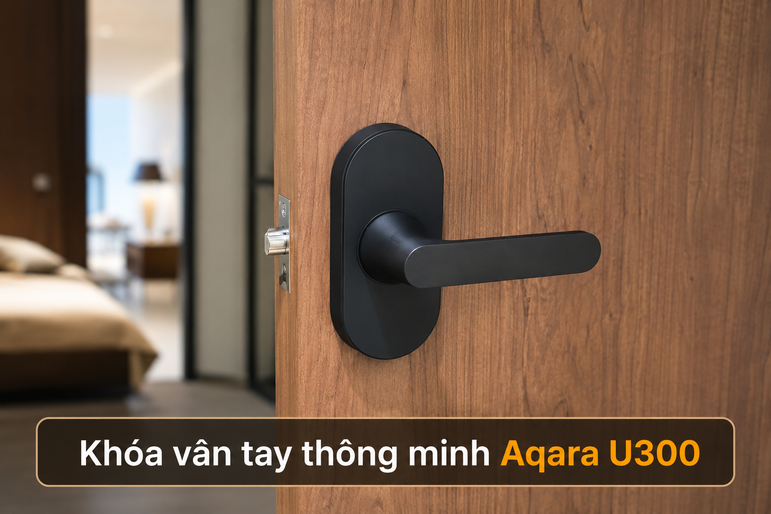 Khóa vân tay Aqara U300